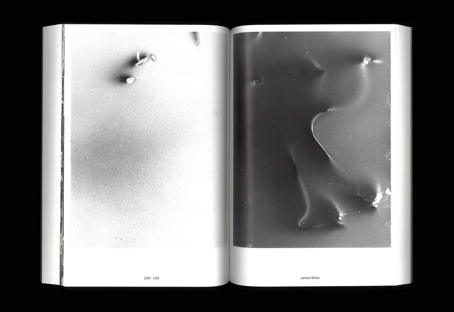 DUST: The Plates of the Present