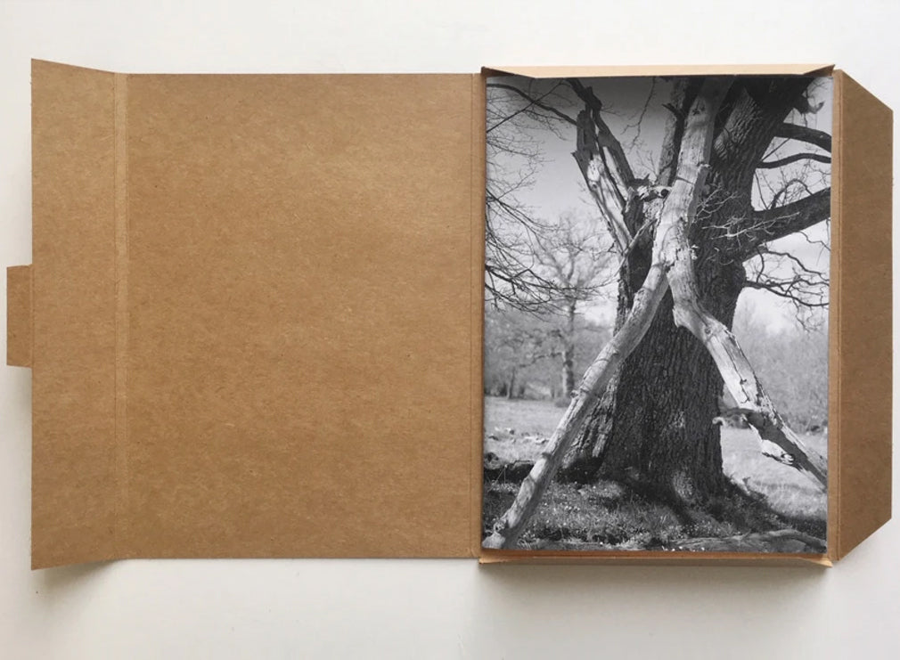 Gerry Johansson: Esker (Signed)