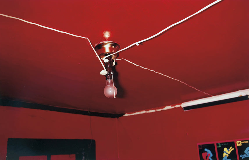 William Eggleston's Guide