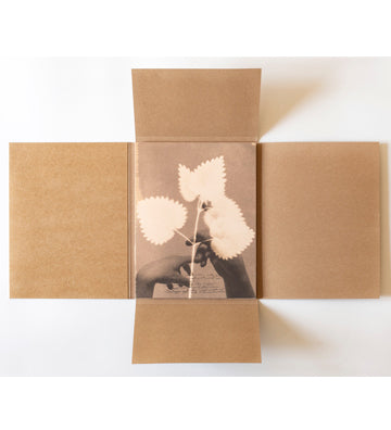 Alessandra Calò: Herbarium, i fiori sono rimasti rosa (signed and numbered copies)