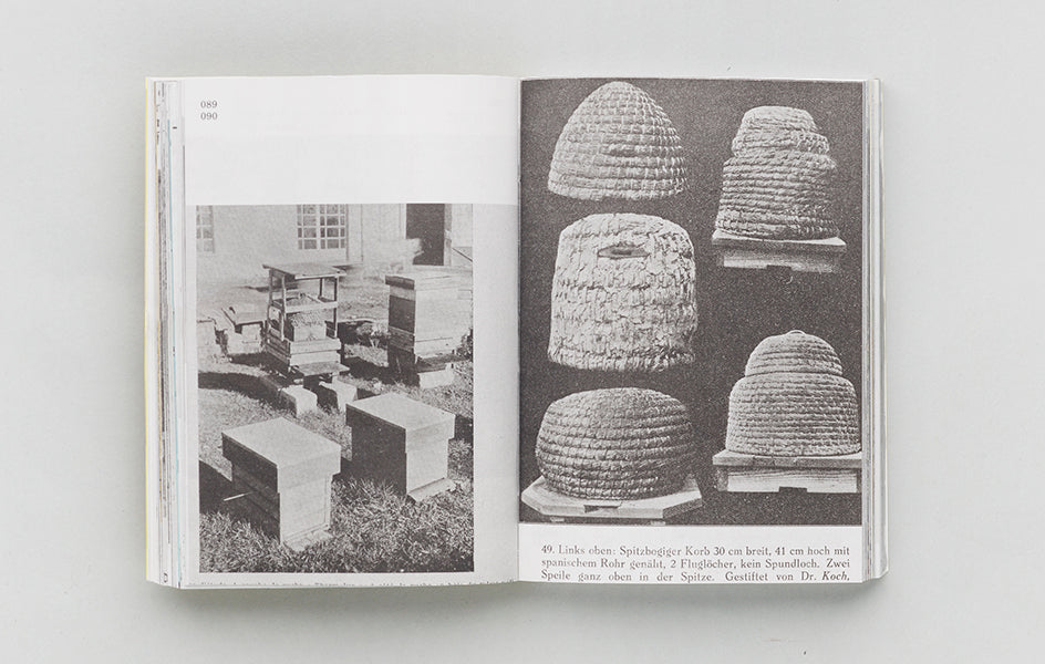 Aladin Borioli (APIAN): Hives, 2400 B.C.E. – 1852 C.E. / Ruches, 2400 A.E.C. – 1852 E.C.