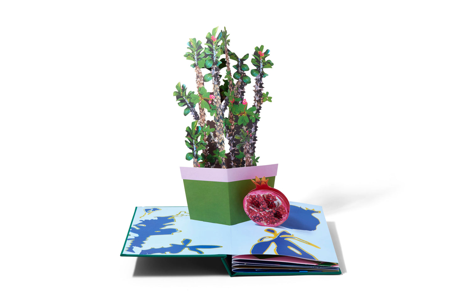 Daniel Gordon: Houseplants (Limited Edition)