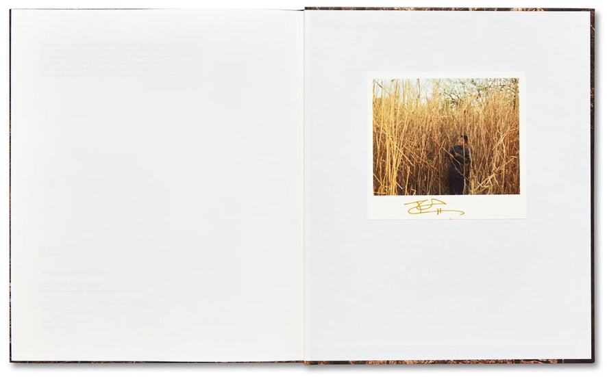 Irina Rozovsky: In Plain Air (Signed)