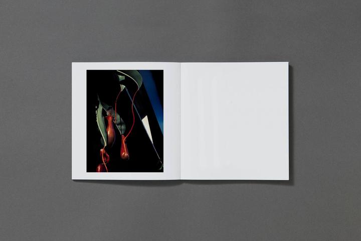 Jack Davison: Photographs (Second Printing)