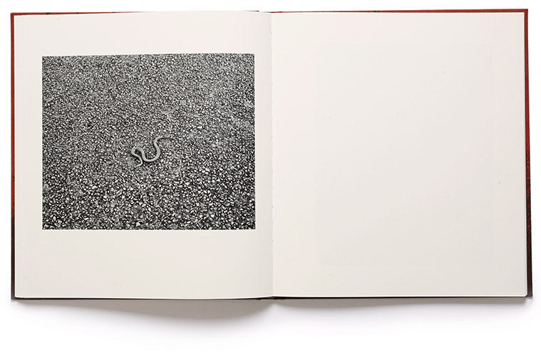 Vanessa Winship: she dances on Jackson (2nd Edition)