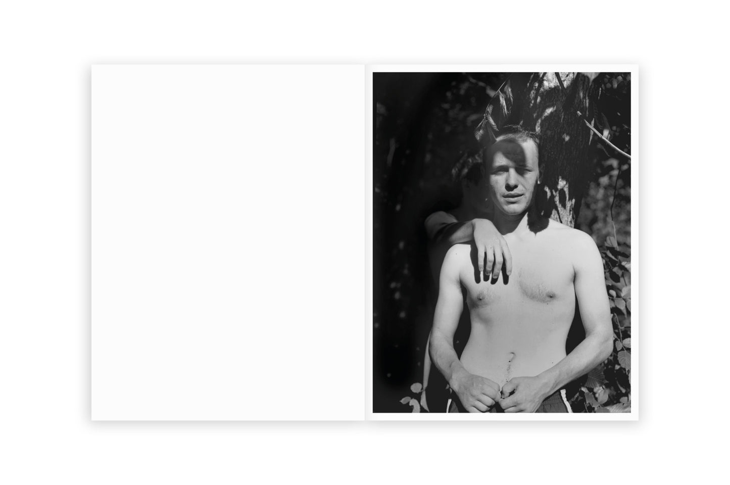 Raymond Meeks: Halfstory Halflife