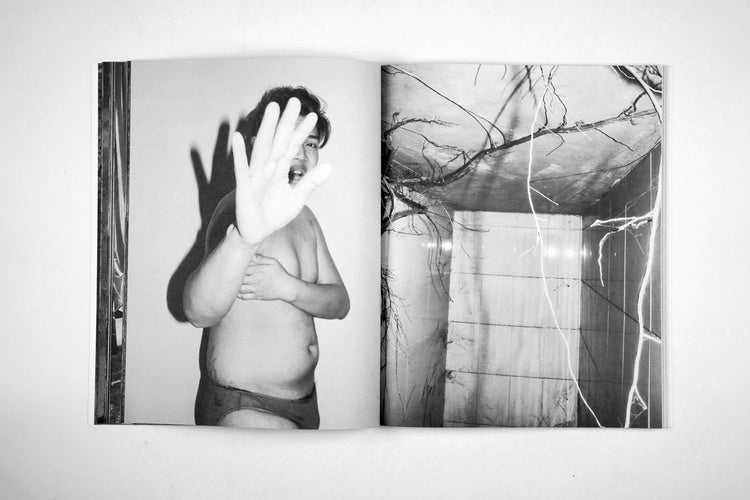 Jacopo Benassi: Meiwo