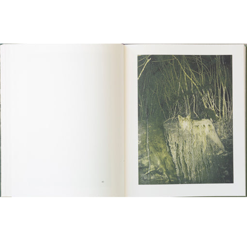 Stephen Gill: Night Procession
