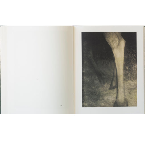 Stephen Gill: Night Procession