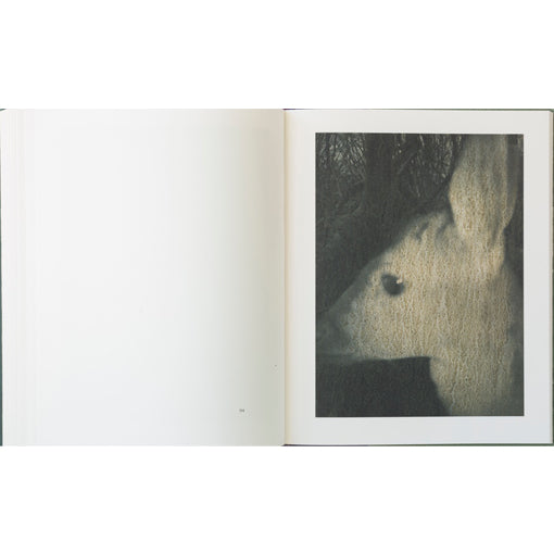 Stephen Gill: Night Procession