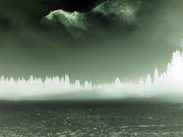 Richard Misrach: Notations