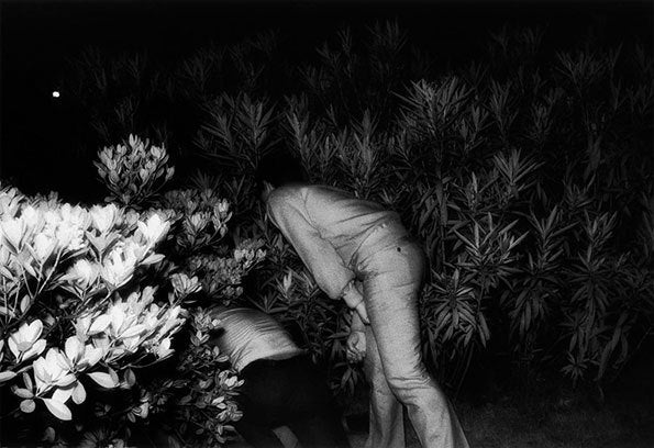 Kohei Yoshiyuki: The Park (2019 Edition)