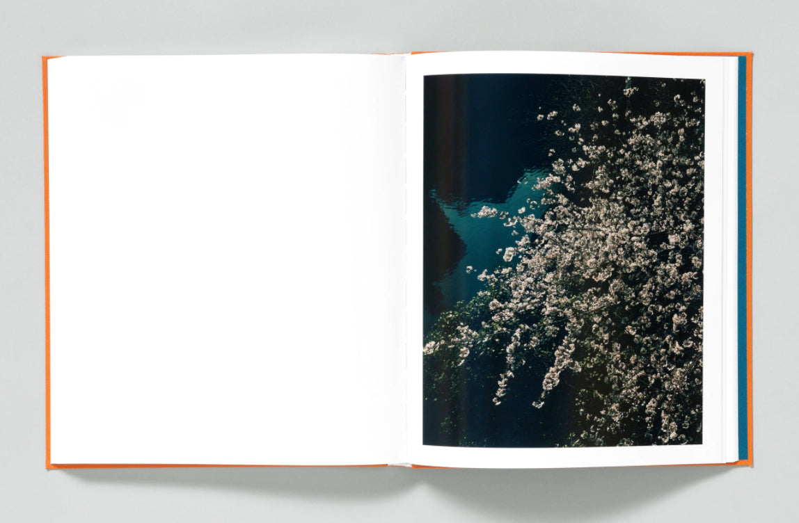 Christopher Anderson: Pia