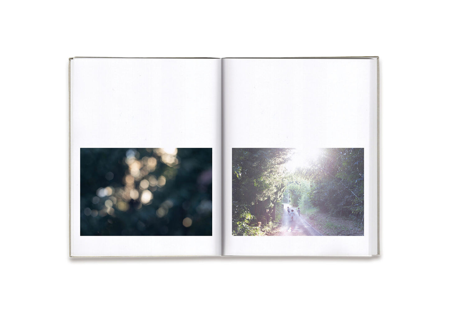 Rinko Kawauchi: As it is