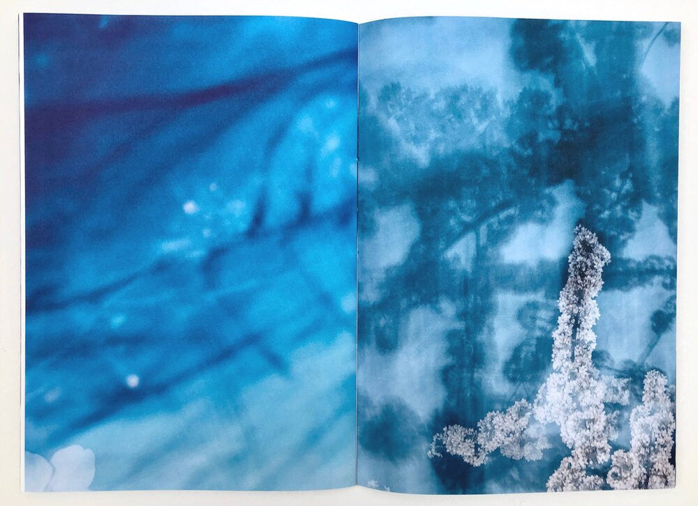 Yoshinori Mizutani: Sakura