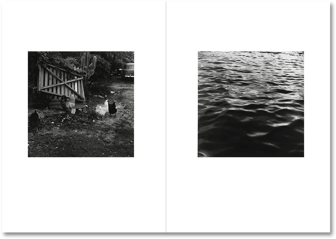 Moyra Davey & Peter Hujar: The Shabbiness of Beauty (Signed by Moyra Davey)