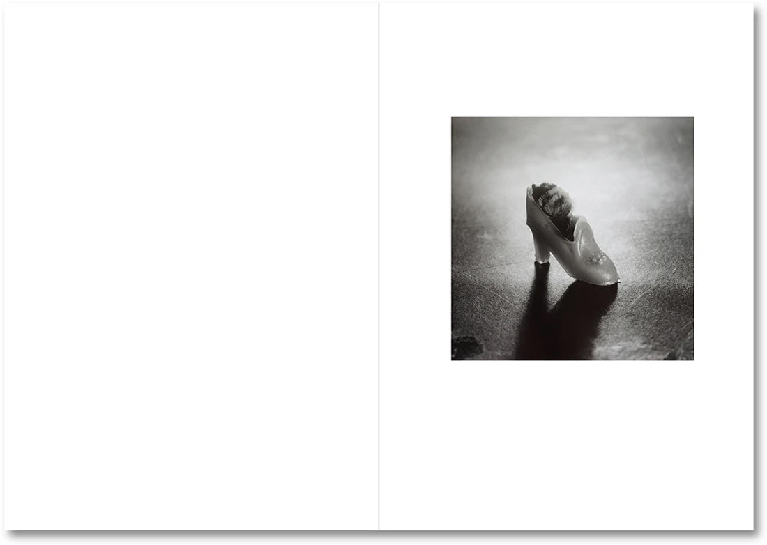 Moyra Davey & Peter Hujar: The Shabbiness of Beauty (Signed by Moyra Davey)
