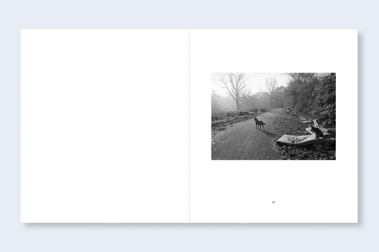 Mark Steinmetz: South East (Reprint)