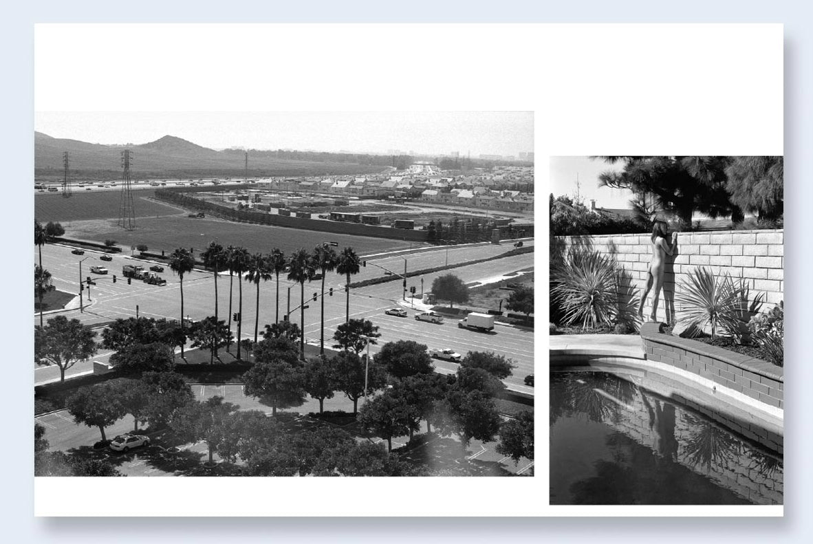 Ed & Deanna Templeton: Contemporary Suburbium