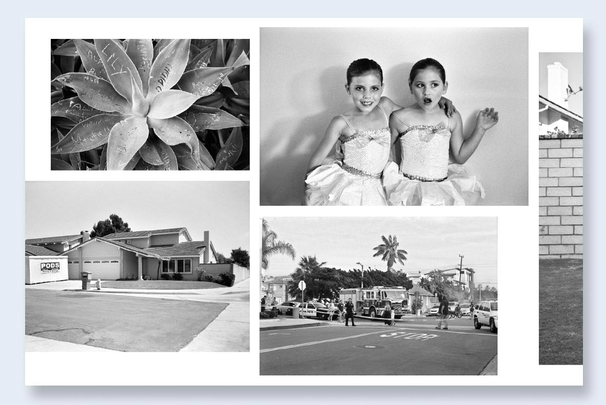 Ed & Deanna Templeton: Contemporary Suburbium