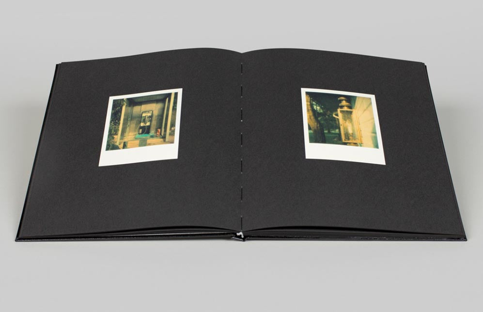 William Eggleston: Polaroid SX-70