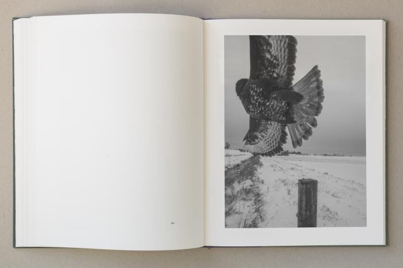 Stephen Gill: The Pillar (Signed)