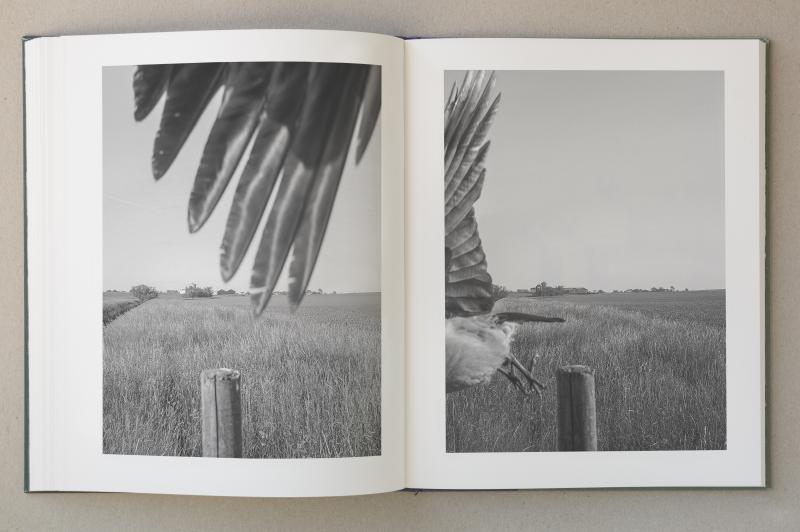 Stephen Gill: The Pillar (Signed)