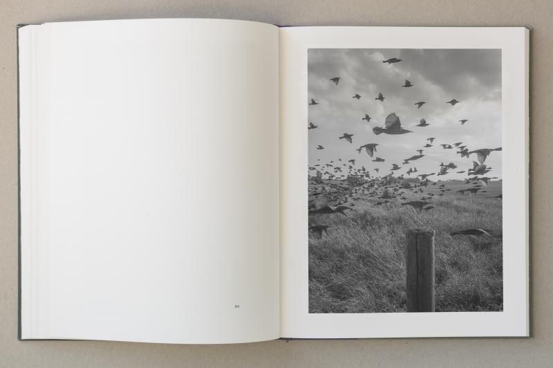 Stephen Gill: The Pillar (Signed)