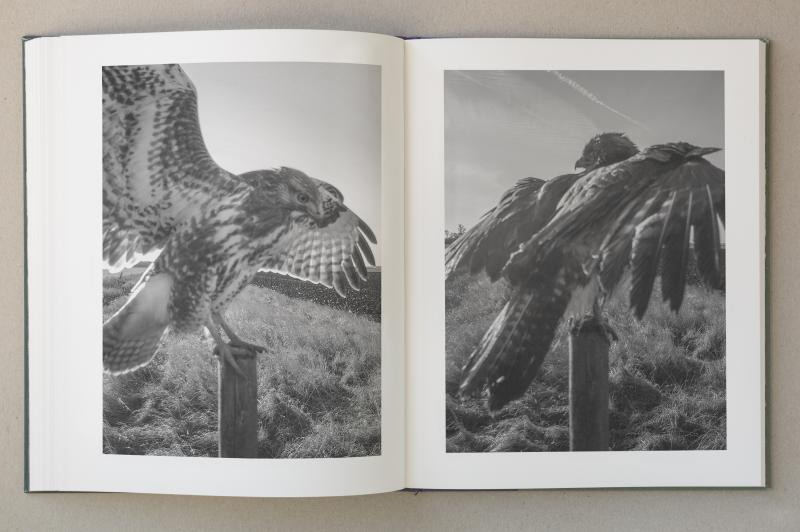Stephen Gill: The Pillar (Signed)