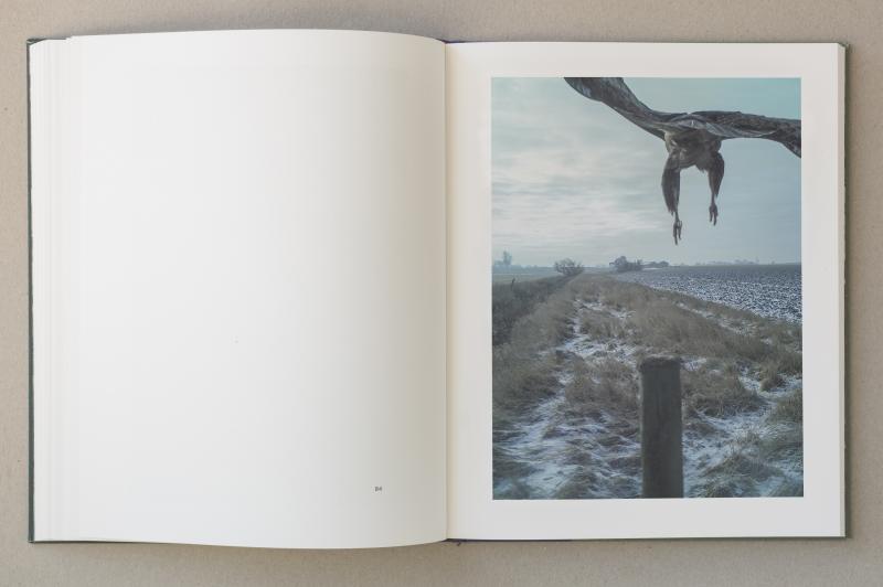 Stephen Gill: The Pillar (Signed)