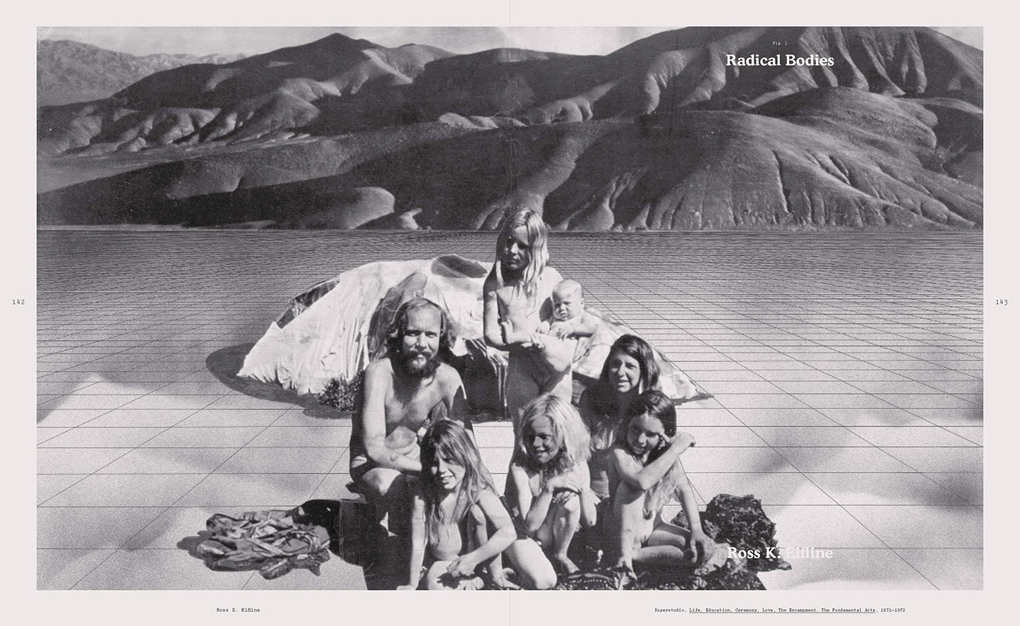 Hippie Modernism: The Struggle for Utopia