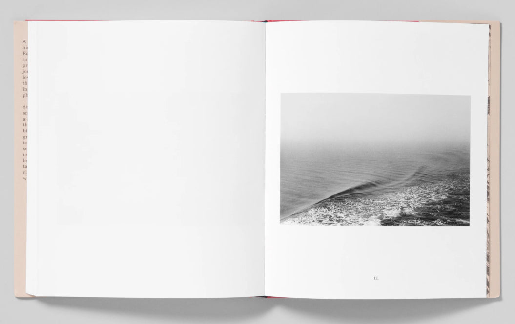 Sergio Purtell: Love's Labour