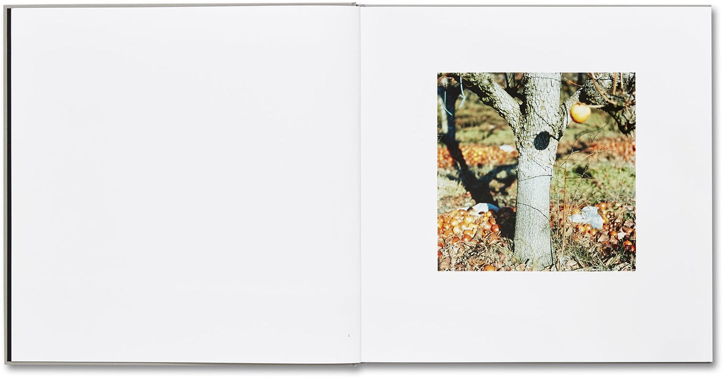 Guido Guidi: Lunario, 1968-1999 (Signed)