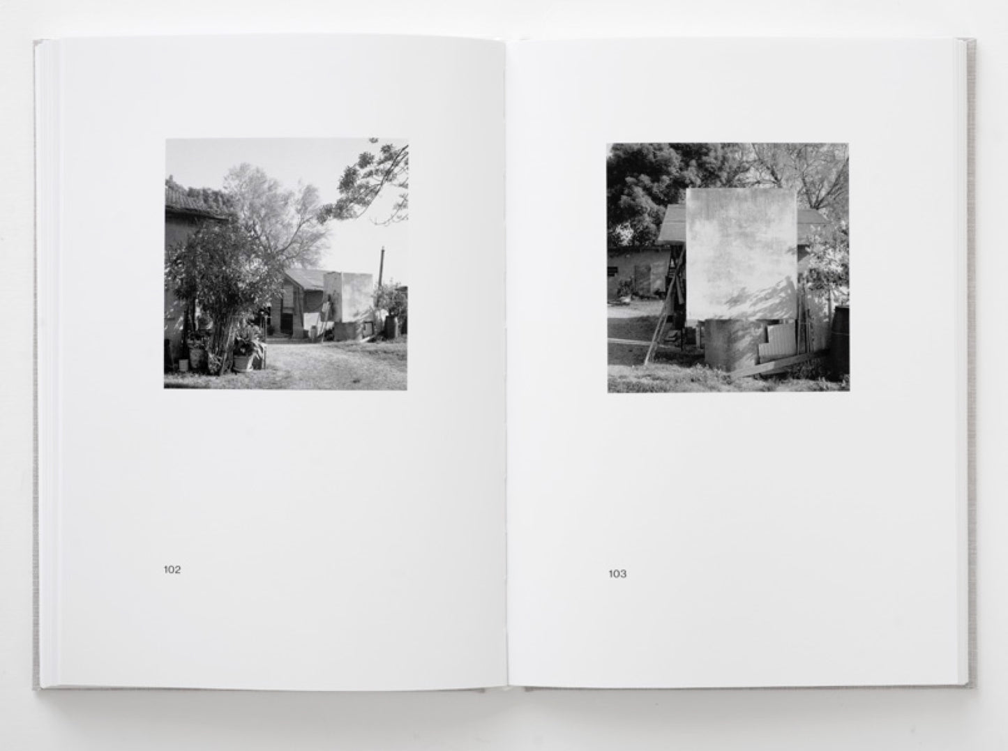 Gerry Johansson: Meloni Meloni (Signed)