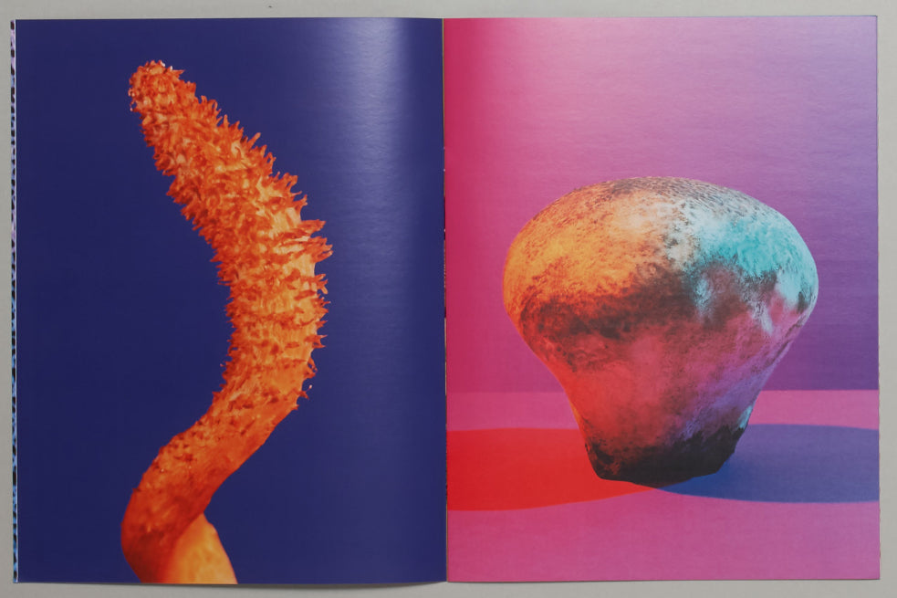 Phyllis Ma: Mushroom & Friends Zine 2