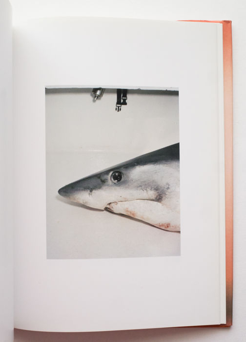 Roe Ethridge: Rockaway, NY (Signed, Out of Print)