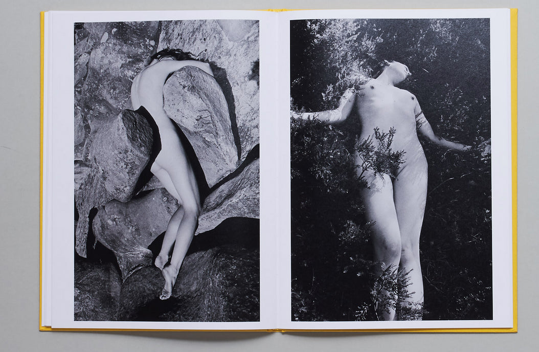 Camille Vivier: Twist