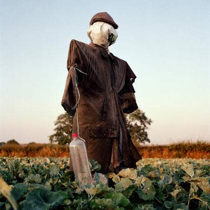 Peter Mitchell: Scarecrows 1974-2015 ( post card book)