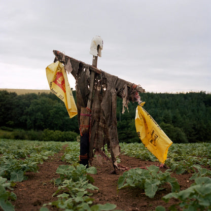 Peter Mitchell: Scarecrows 1974-2015 ( post card book)