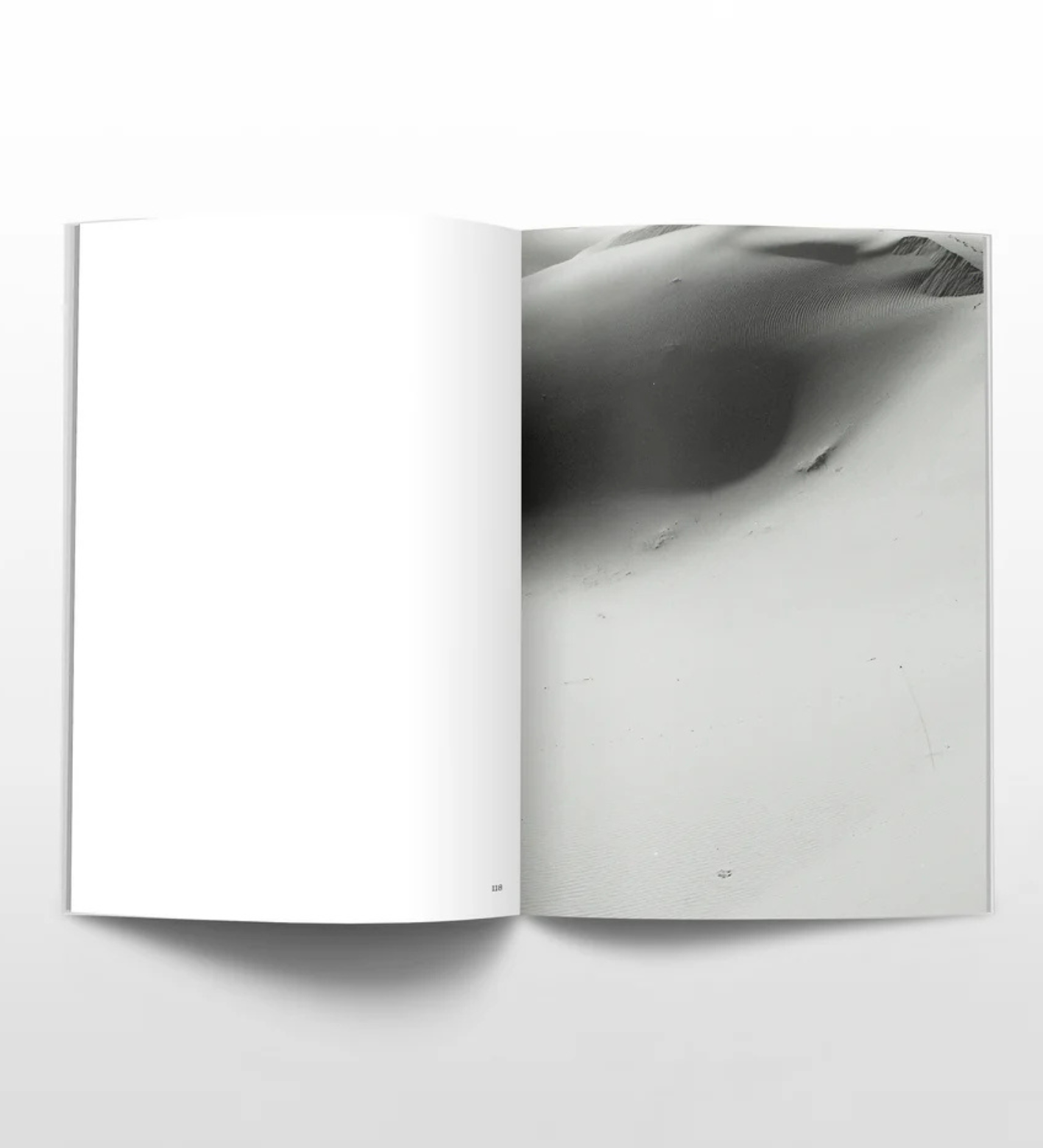 Amak Mahmoodian: Zanjir