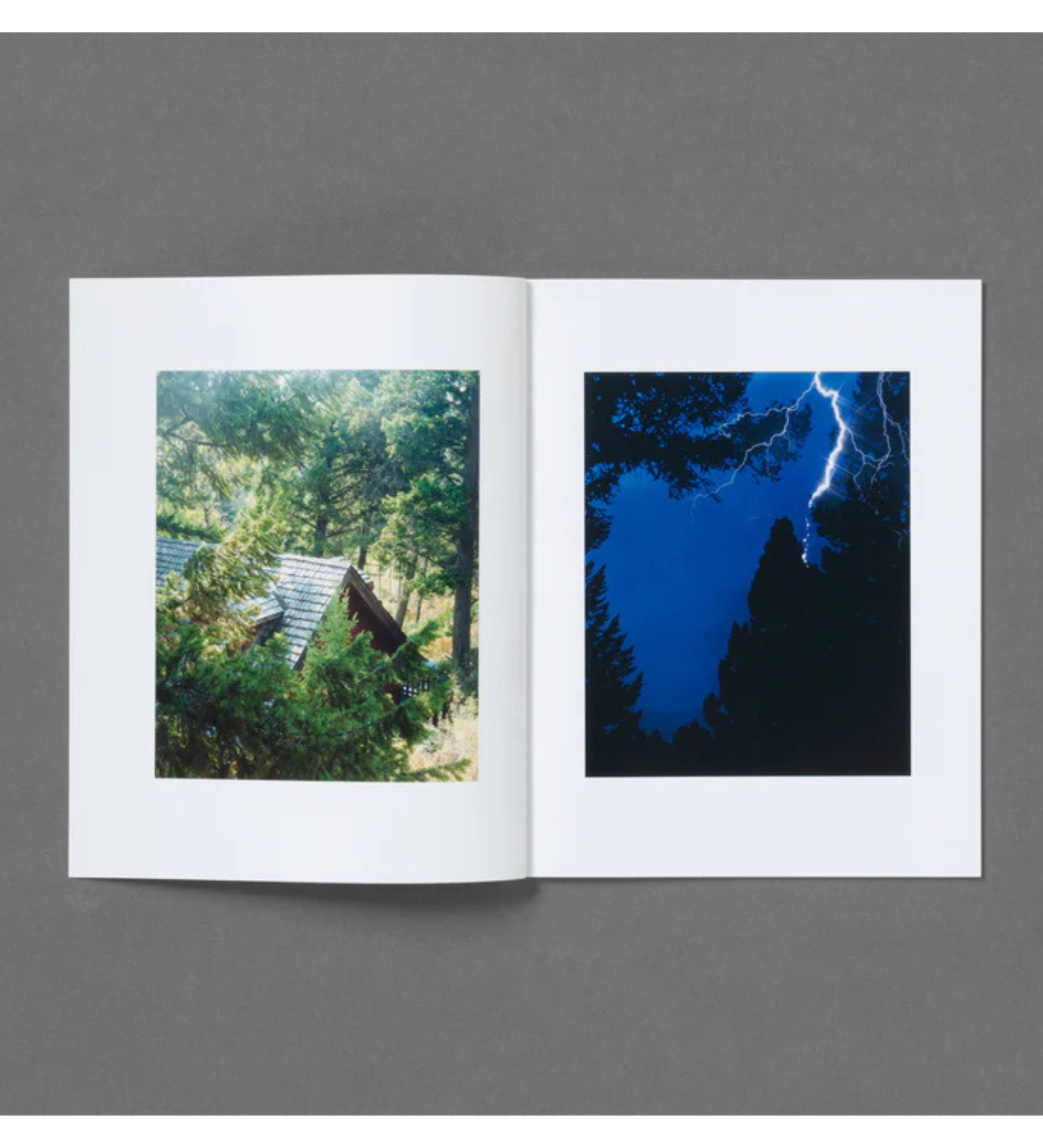 Roe Ethridge: In the Beginning