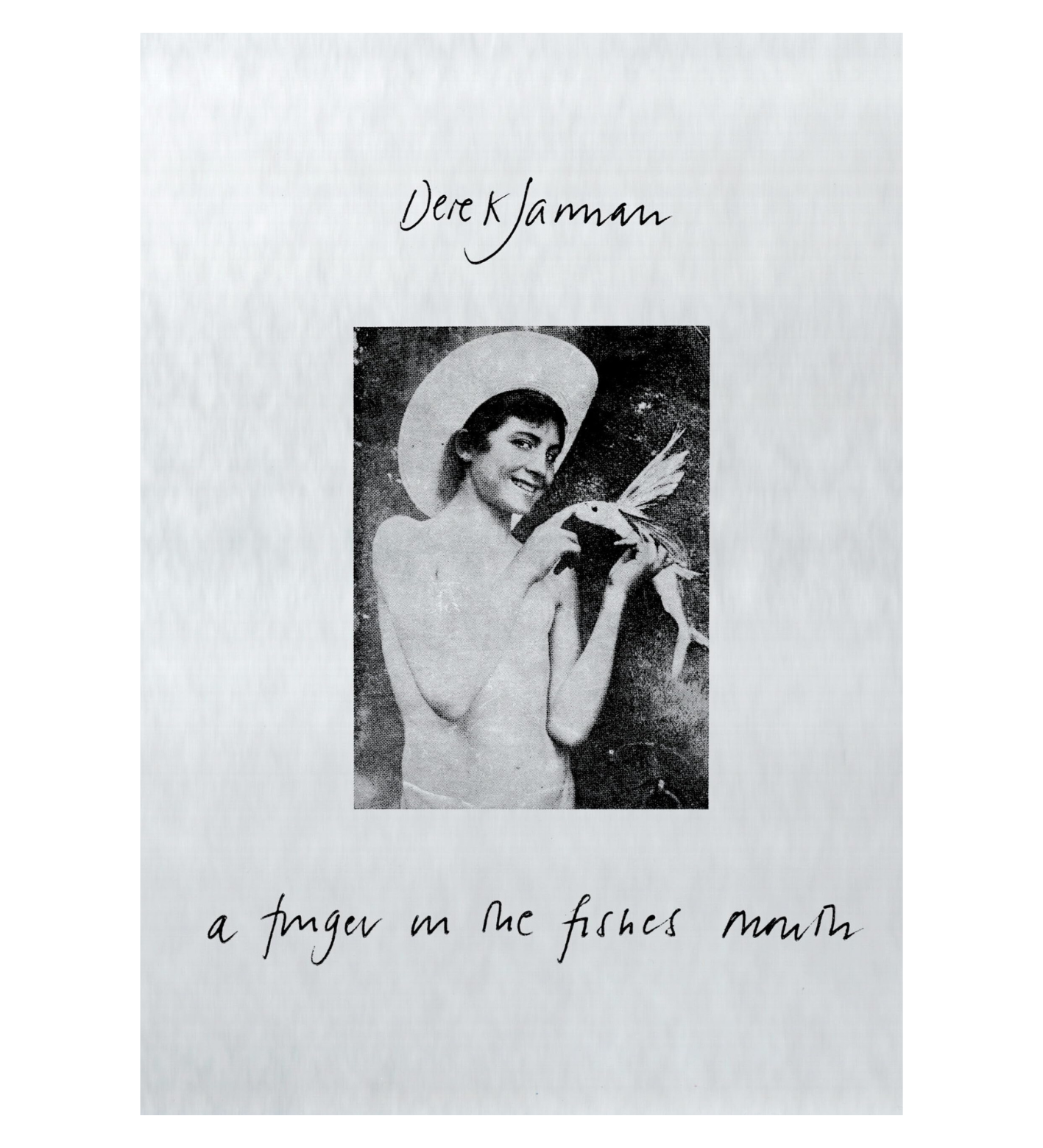 Derek Jarman: A Finger in the Fishes Mouth