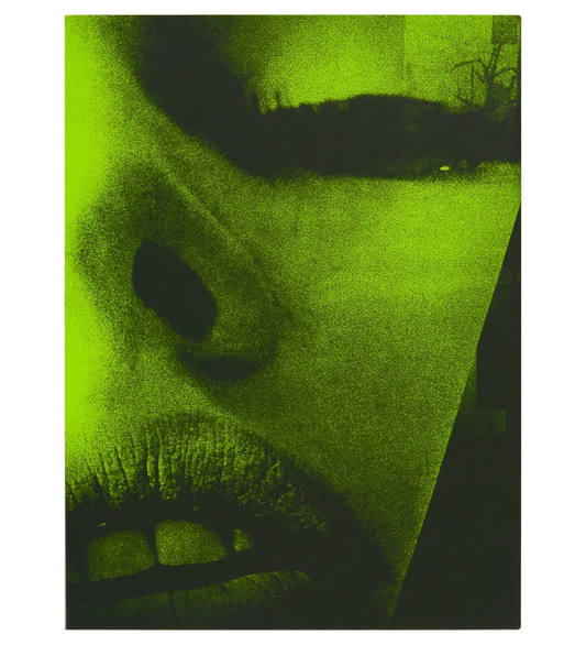 Daido Moriyama: Quartet