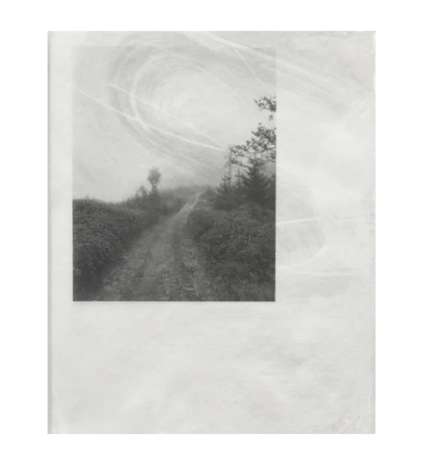 Maciej Forreiter and Jakub Szachnowski: RAREFIED