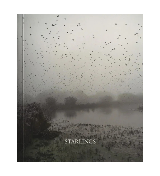Jem Southam: Starlings