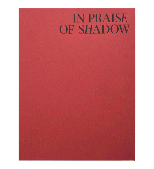 Tomasz Kawecki: IN PRAISE OF SHADOW