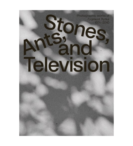 Zygmunt Rytka: Stones, Ants, and Television