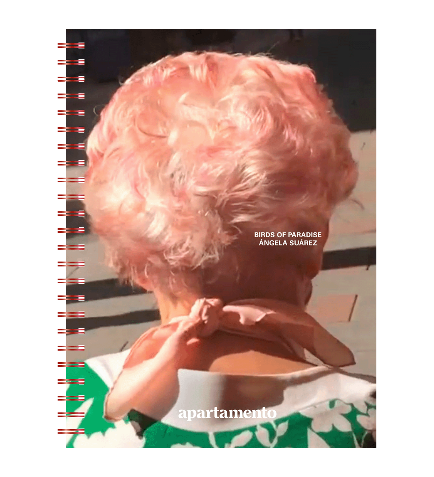 Ángela Suárez: Birds of Paradise