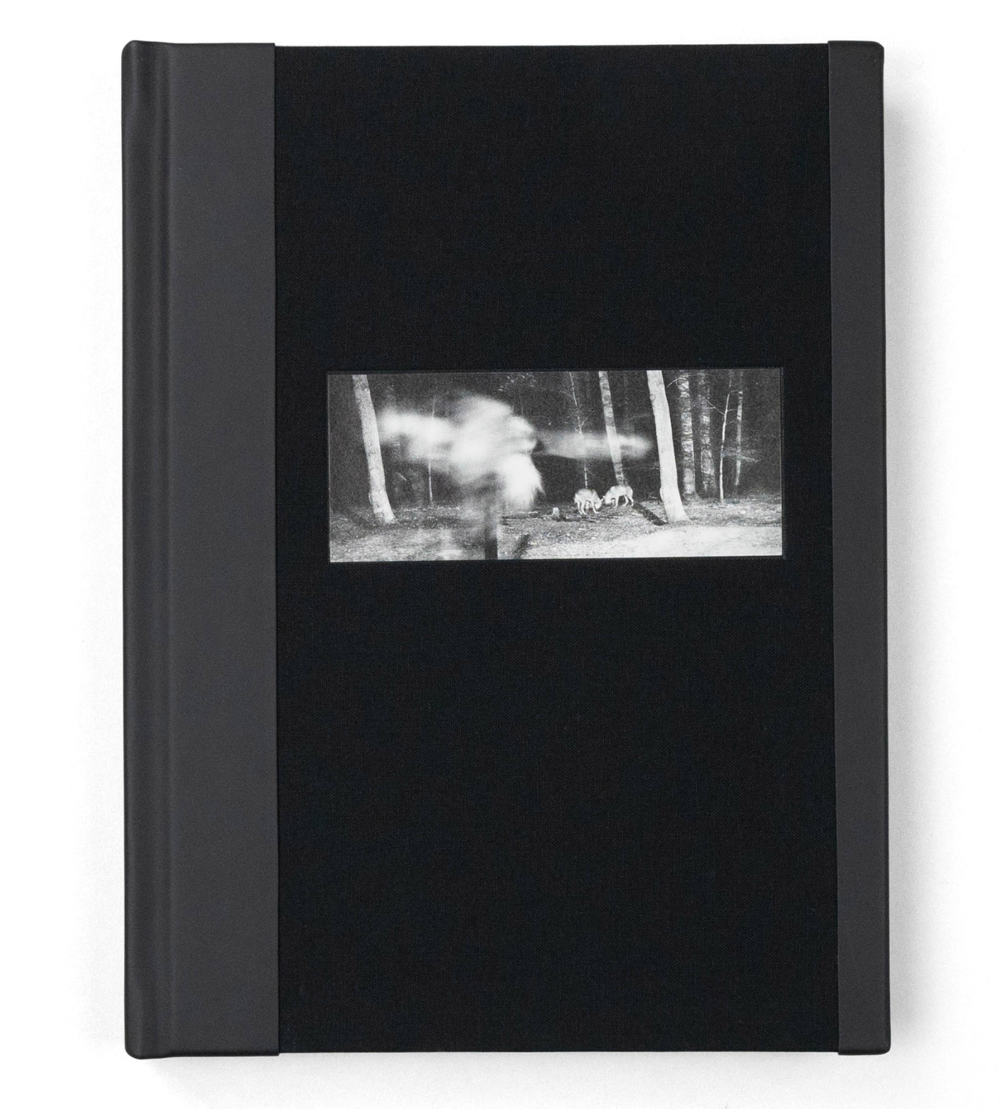 Anna Arendt: Vanishing (signed)