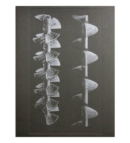Batia Suter: La Nonpareille
